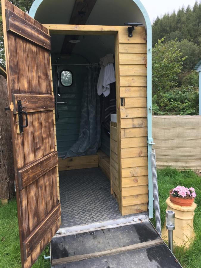 Belan Bluebell Woods Shepherds Hut Llanidloes Ngoại thất bức ảnh