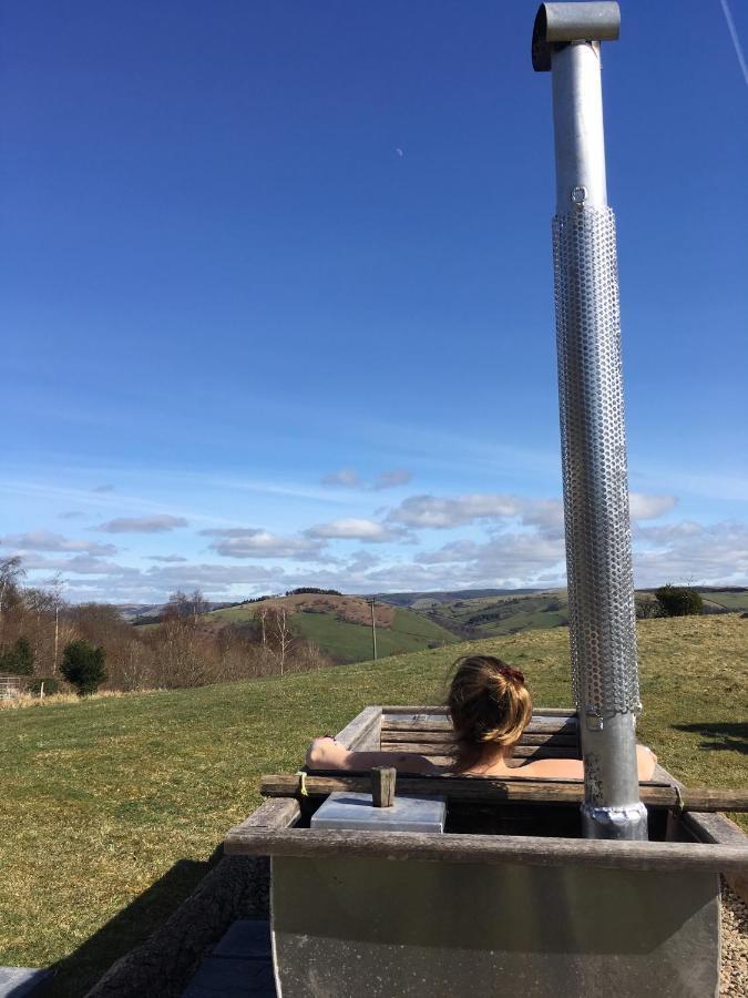 Belan Bluebell Woods Shepherds Hut Llanidloes Ngoại thất bức ảnh