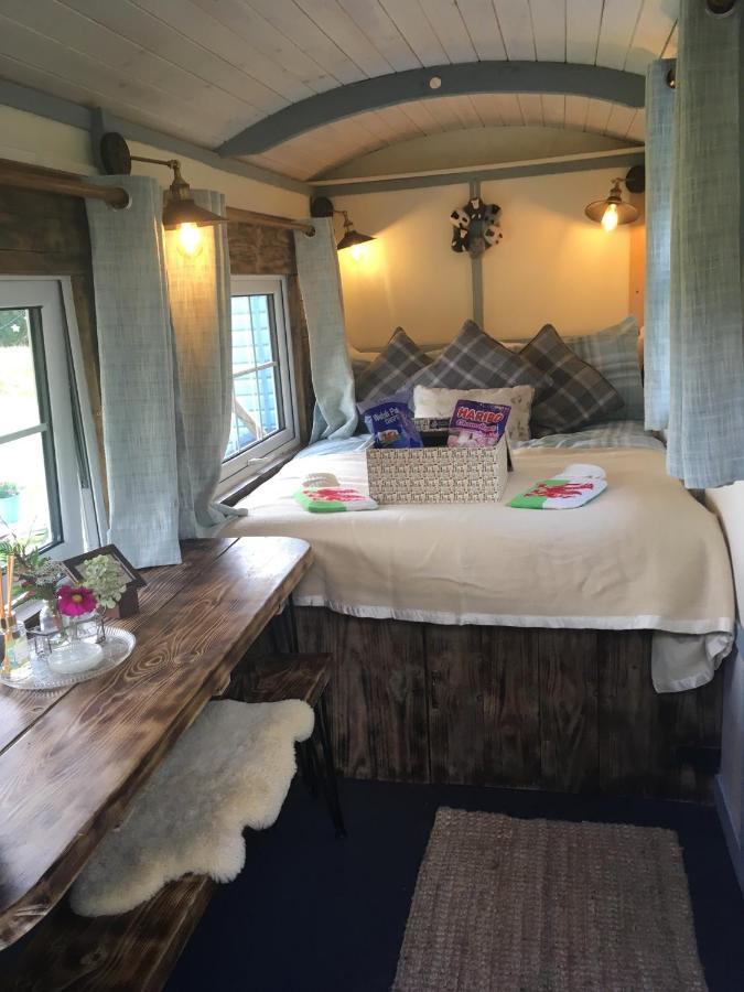Belan Bluebell Woods Shepherds Hut Llanidloes Ngoại thất bức ảnh