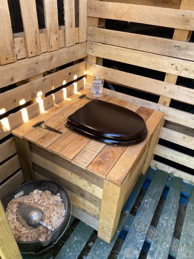 Belan Bluebell Woods Shepherds Hut Llanidloes Ngoại thất bức ảnh